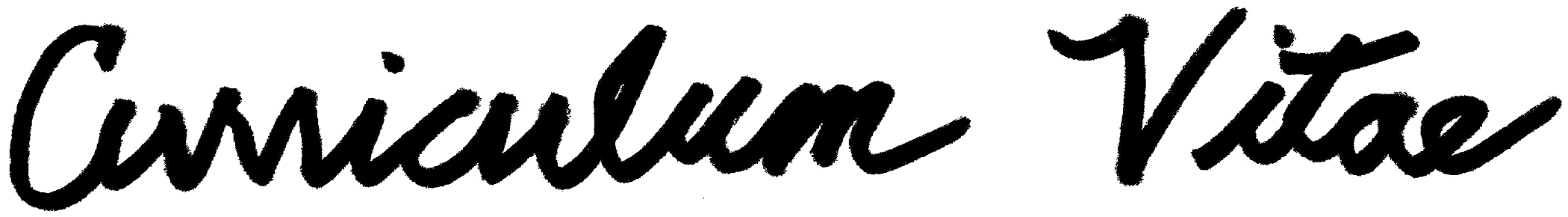 Matthew Loren Snedaker CV