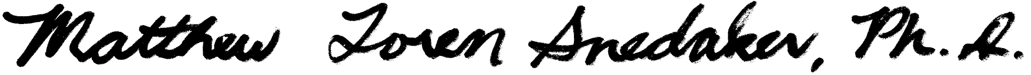 Matthew Loren Snedaker, Ph.D.